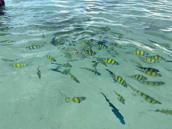 Dalum Beachhouse Phi Phi Adaları Dış mekan fotoğraf